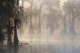 Lake Martin In Foggy Sunrise_26202